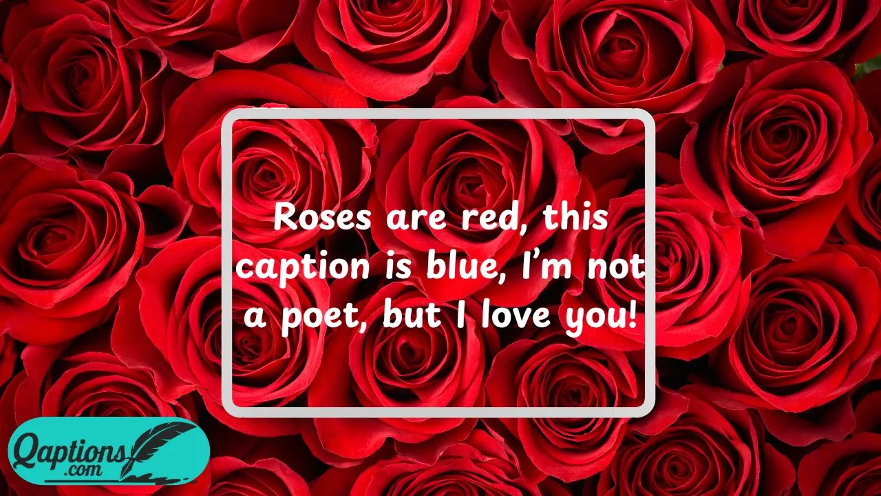 Cute Rose Captions for Your Posts