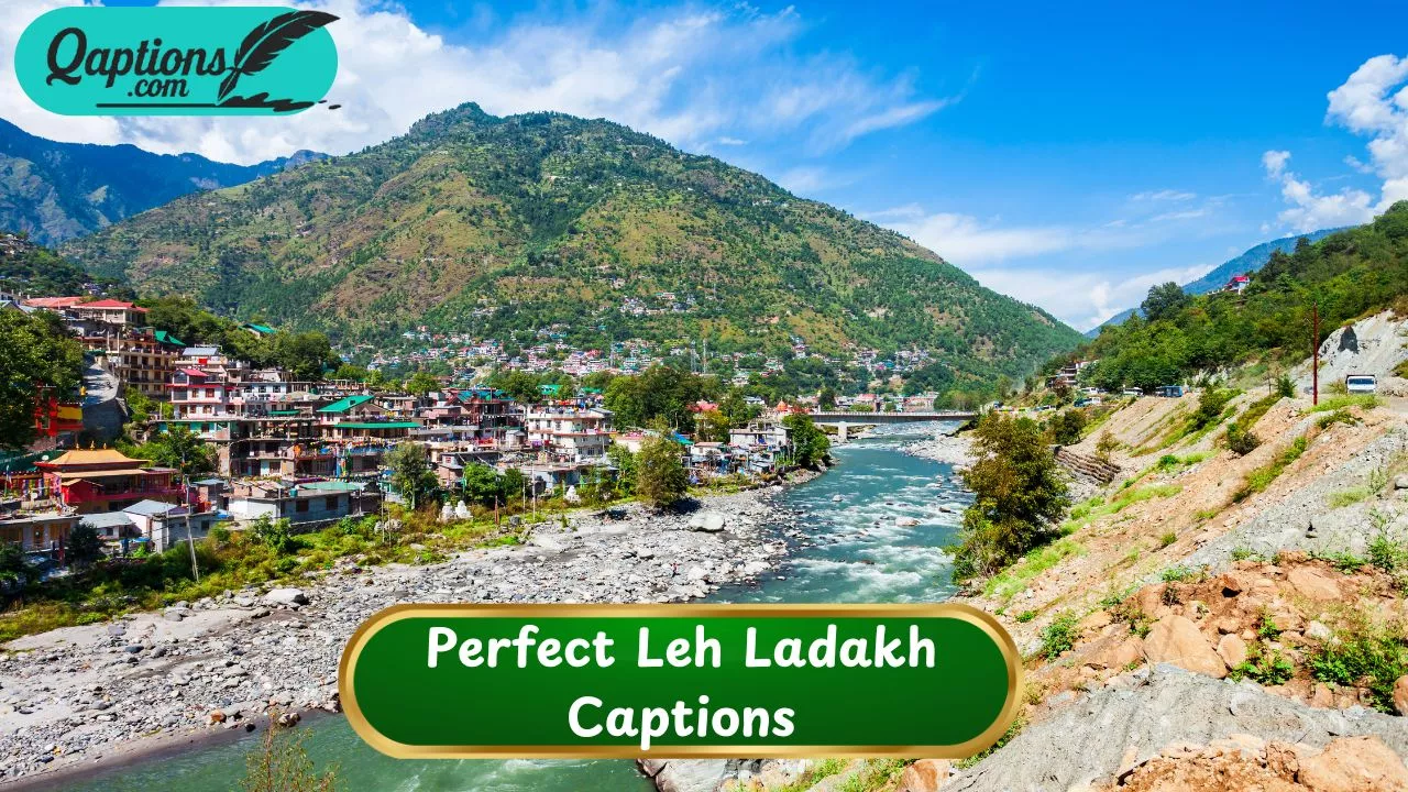 Perfect Leh Ladakh Captions