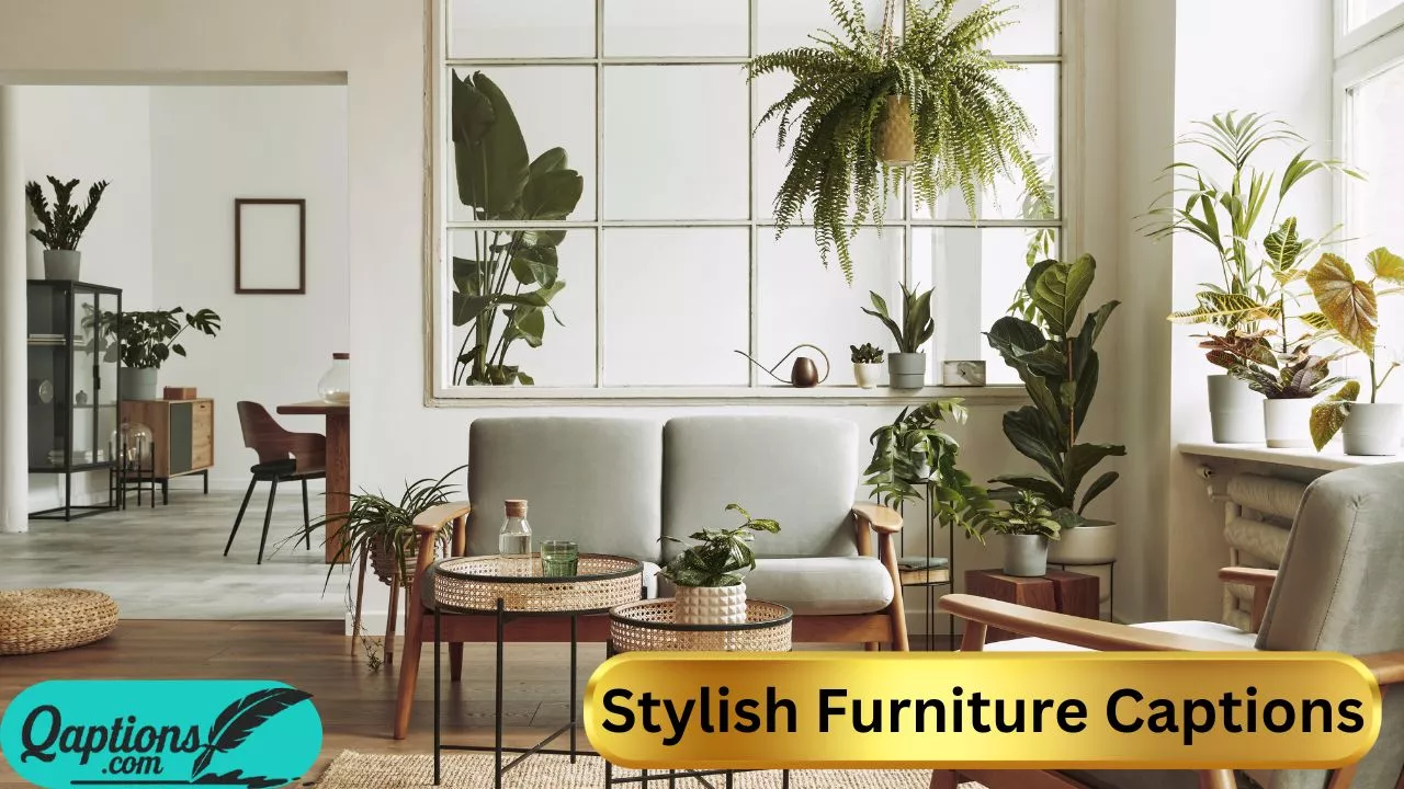 Stylish Furniture Captions