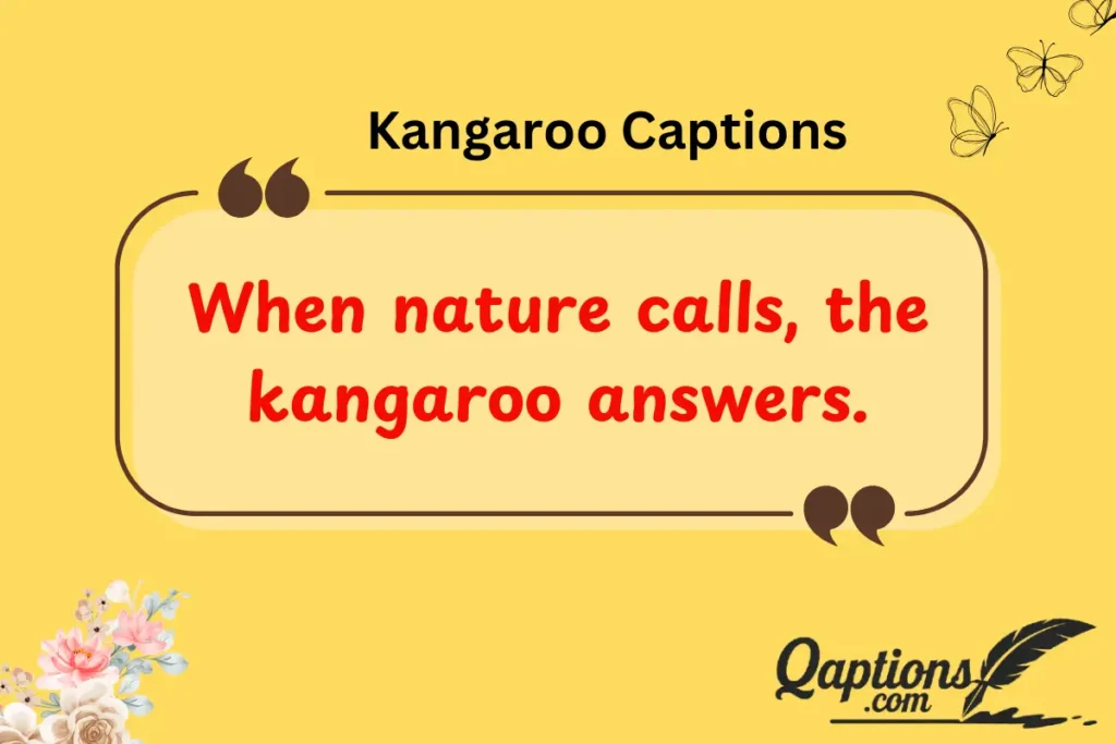  Kangaroo Captions