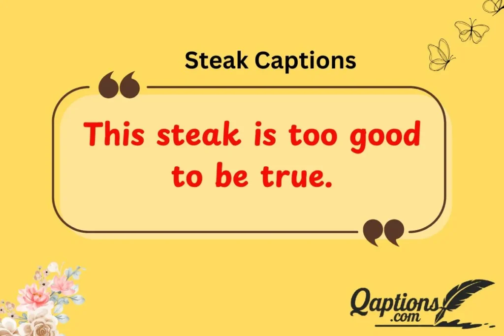  Mouthwatering Steak Captions