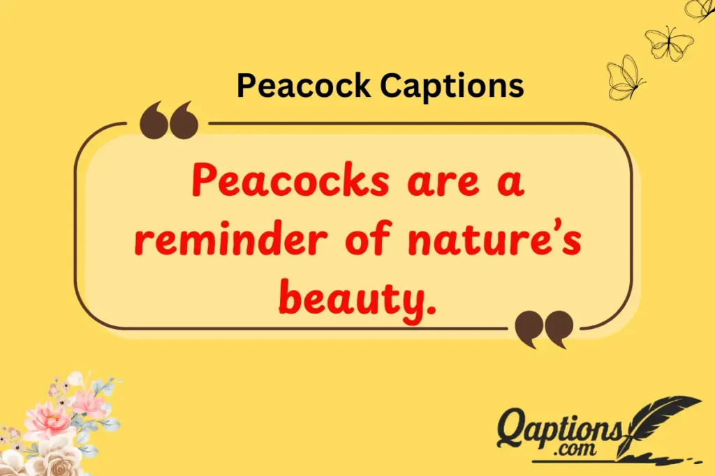 Nature-Inspired Peacock Captions