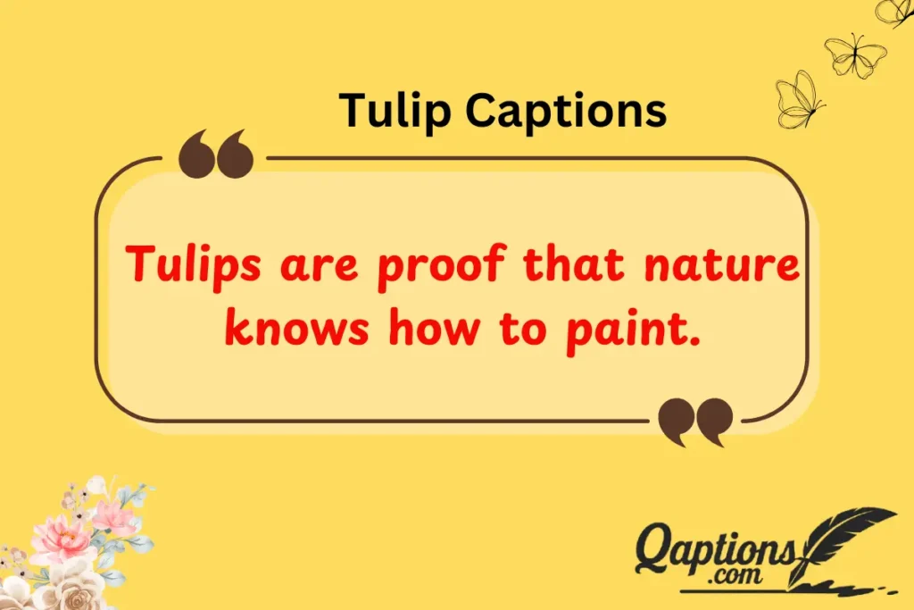  Tulip Captions