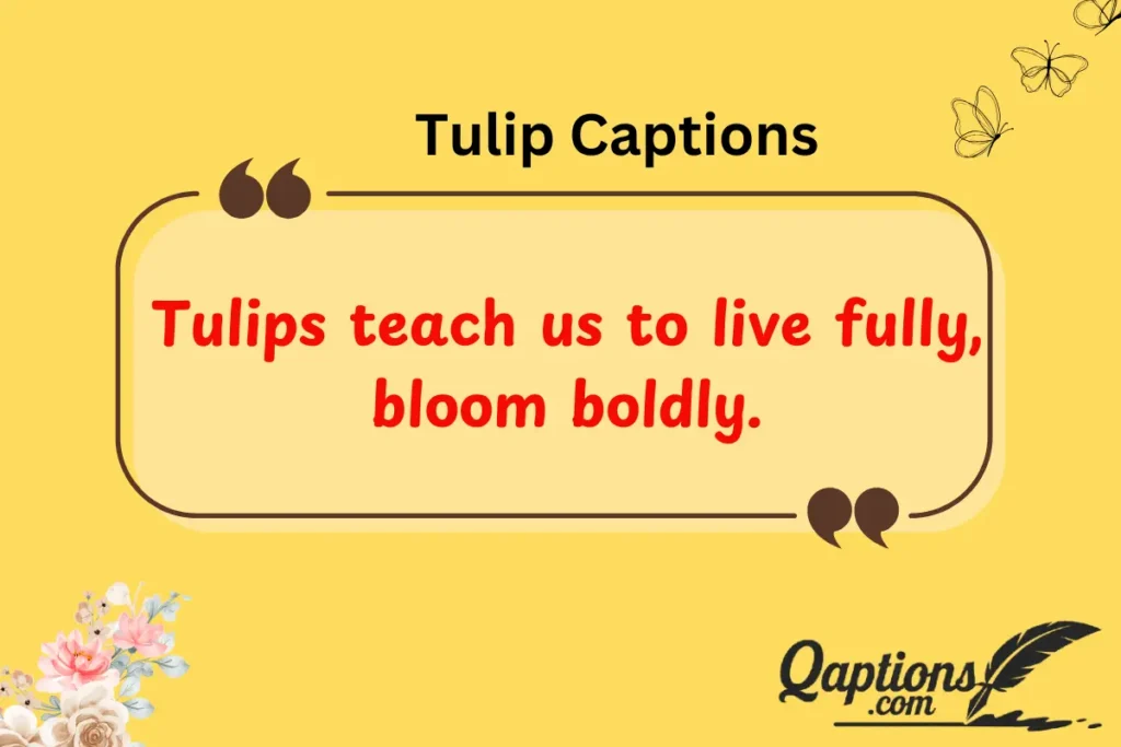 Tulip Captions