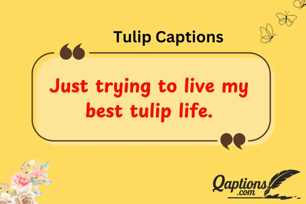 Tulip Captions