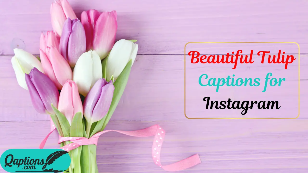 Tulip Captions for Instagram